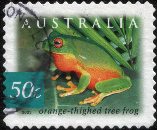 Timbre:  grenouille arboricole