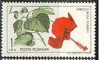 Timbre: Hibiscus