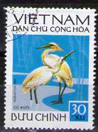 Timbre: Bubulcus ibis