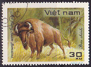 Timbre: Bison bonasus
