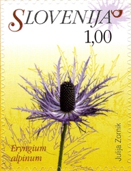 Timbre: Eryngium calpinum
