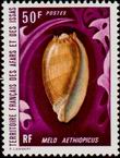 Timbre: Melo aethiopicus