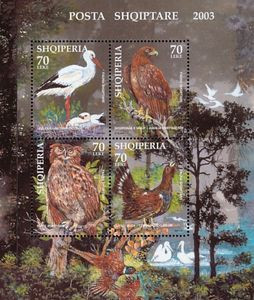 Timbre: Oiseaux d'Albanie