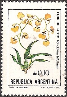 Timbre: Ondidium bifolium