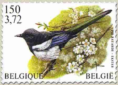 Timbre: Oiseau, Pie bavarde