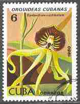 Timbre: Orchid&eacute;e  Epidendrum cochleatum