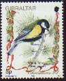 Timbre: M&eacute;sange charbonni&egrave;re (Parus major)
