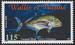 Timbre: Carangue bleue