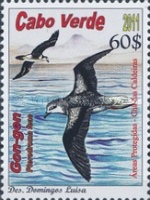 Timbre: Pterodroma feae