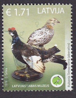 Timbre: Oiseaux lyres - Lyrurus tetrix & Motacilla alba