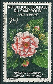 Timbre: Fleurs - Caprice des dames