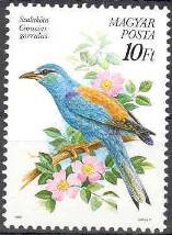 Timbre: Coracias garrulus