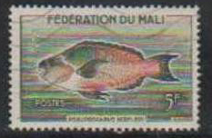 Timbre: Poisson : Pseudoscarus Hoefleri