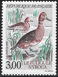 Timbre: Fuligule Nyroca