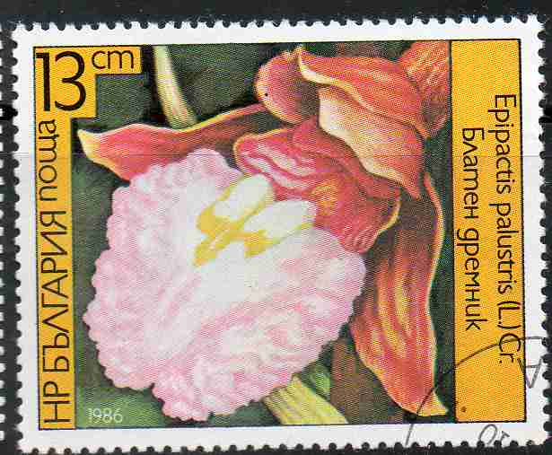 Timbre: Orchid&eacute;es : Epipactis palustris
