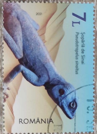 Timbre: Reptile : Lézard