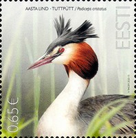 Timbre: Podiceps cristatus