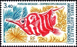 Timbre: Poisson-b&eacute;casse
