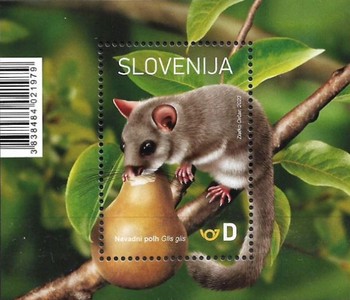 Timbre: Loir (Glis glis) 