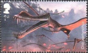 Timbre: Coloborhynchus