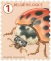 Timbre: Coccinelle asiatique