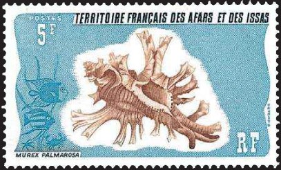 Timbre: Murex palmarosa