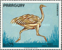 Timbre: Rhea americana