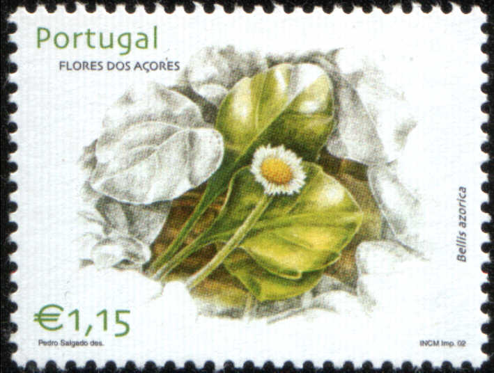 Timbre: P&acirc;querette des A&ccedil;ores (Bellis azorica)