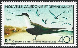 Timbre: Sterna fuscata linn&eacute;