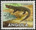 Timbre: Crocodile du Nil (Crocodylus niloticus) 