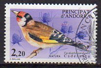Timbre: Carduelis carduelis 