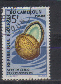 Timbre: Noix de coco - Cocos nucifera