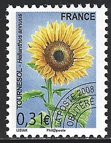 Timbre: Tournesol