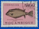 Timbre: Tetrosomus  cantatenatus