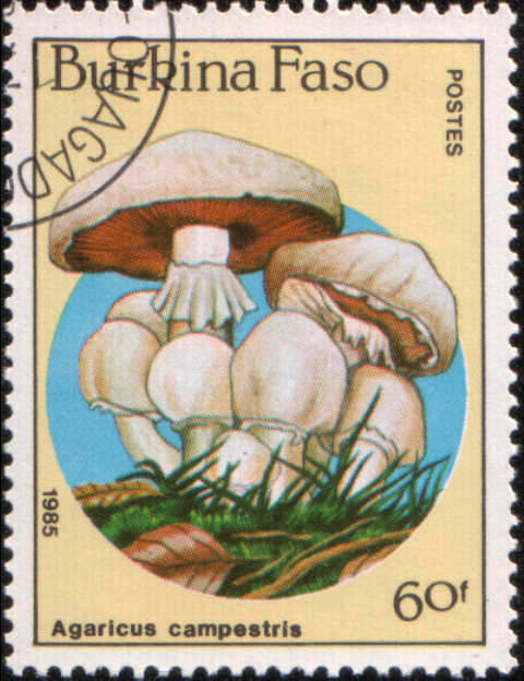 Timbre: Ros&eacute;s des pr&eacute;s