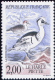 Timbre: Harle Piette