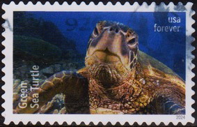 Timbre:     Protect Sea Turtles
