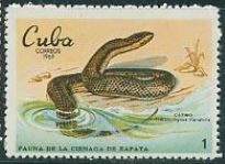 Timbre: Tratanorhynus variabilis