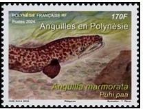 Timbre: ANUILLES EN POLYNESIE MARMORATA