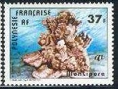 Timbre: Montipora