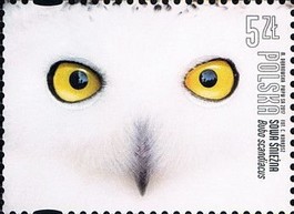 Timbre: Harfang des neiges