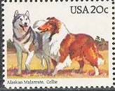 Timbre: Alaskan malamute et colley