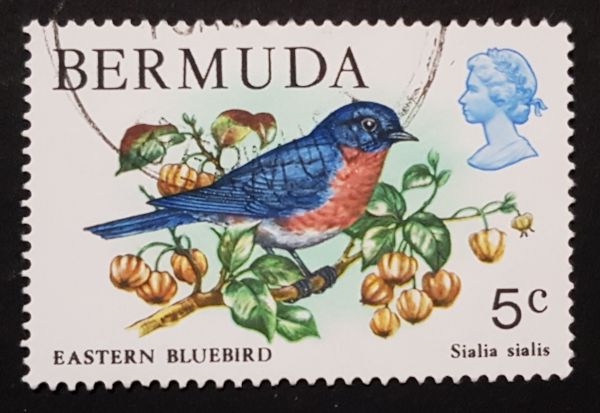 Timbre: Faune des Bermudes Sialia Sialis