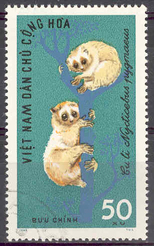 Timbre: Animaux sauvages, Nycticebus pygmaeus