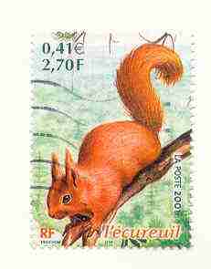 Timbre: Nature de France - L'&eacute;cureuil