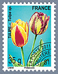 Timbre: Tulipe