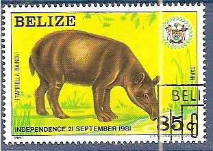 Timbre: Tapir