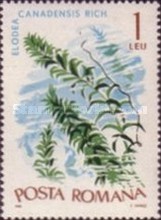 Timbre: Elodea canadensis