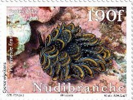 Timbre: Cyerce nigricans