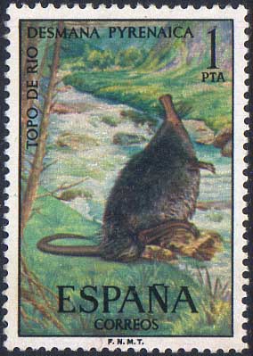 Timbre: Pyrrenean Desman / Topo de rio, desmana pyrenaica